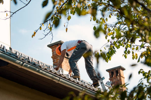 Best Roof Waterproofing Services  in Caseyvle, IL