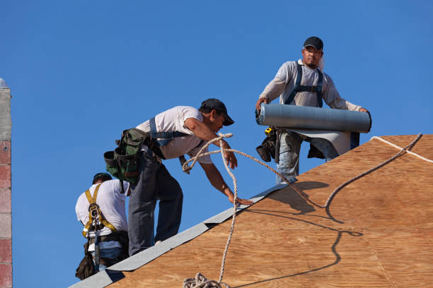Best Commercial Roofing Services  in Caseyvle, IL